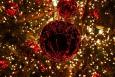 Hayle Harbour Christmas Market